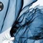 Blaue Transparente Blumen und Weiße Schmetterlinge Fototapete
